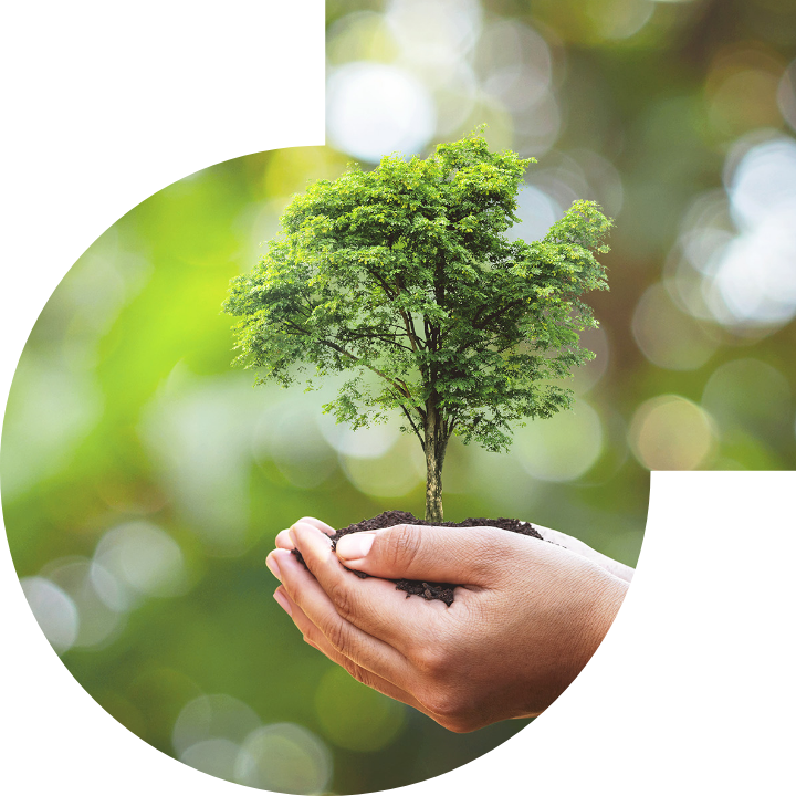 關懷人類、文化、環境與社會